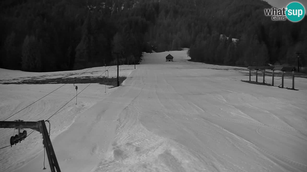 Ski Kranjska Gora | Velika Dolina
