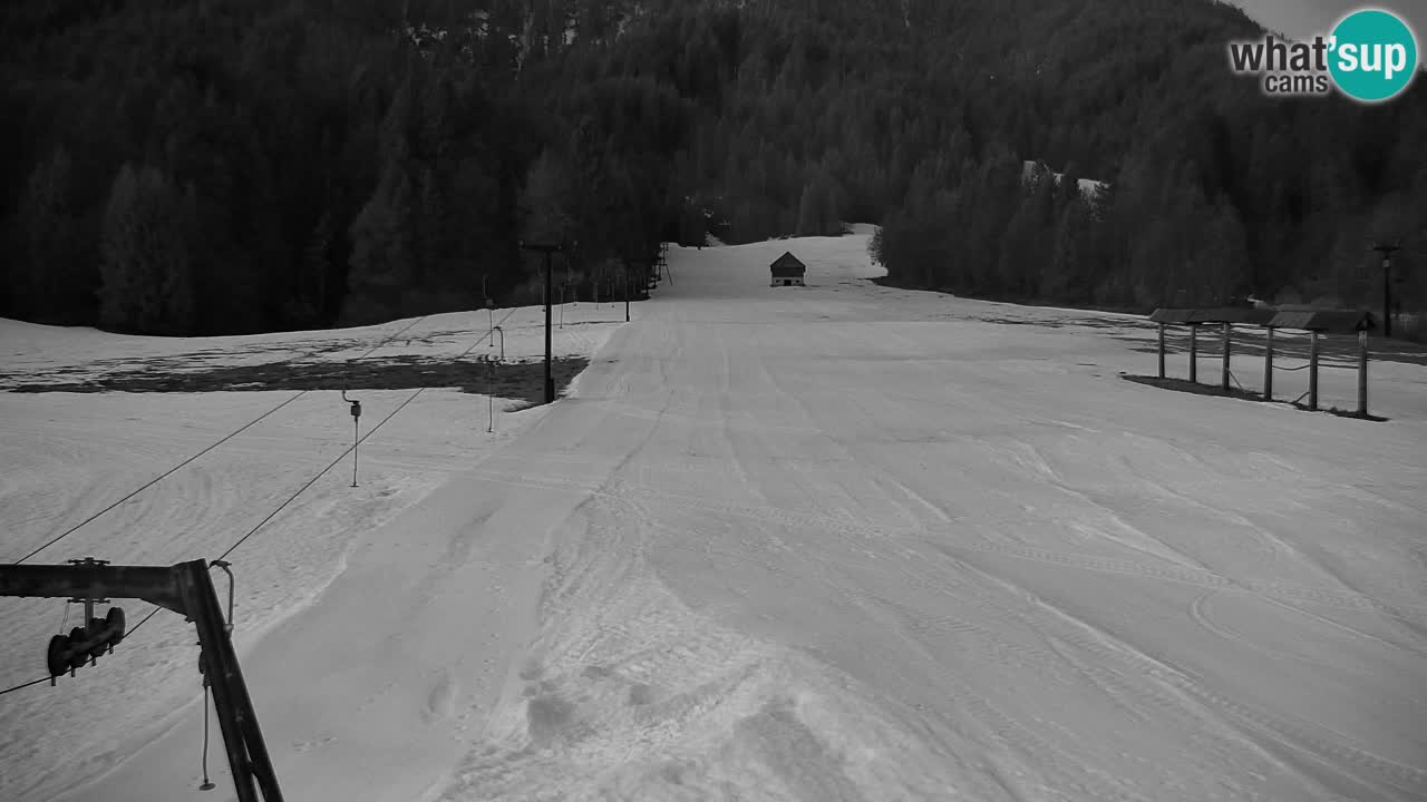 Ski Kranjska Gora | Velika Dolina