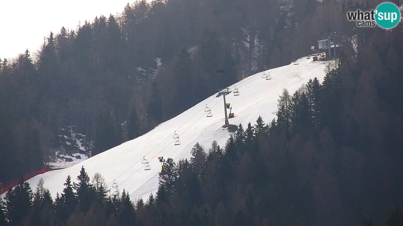 Ski Kranjska Gora | Velika Dolina