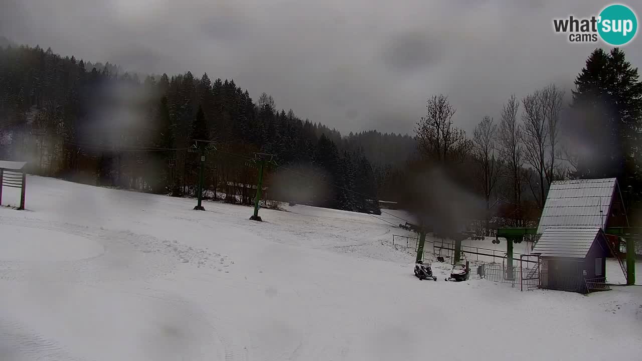 Ski Kranjska Gora | Velika Dolina