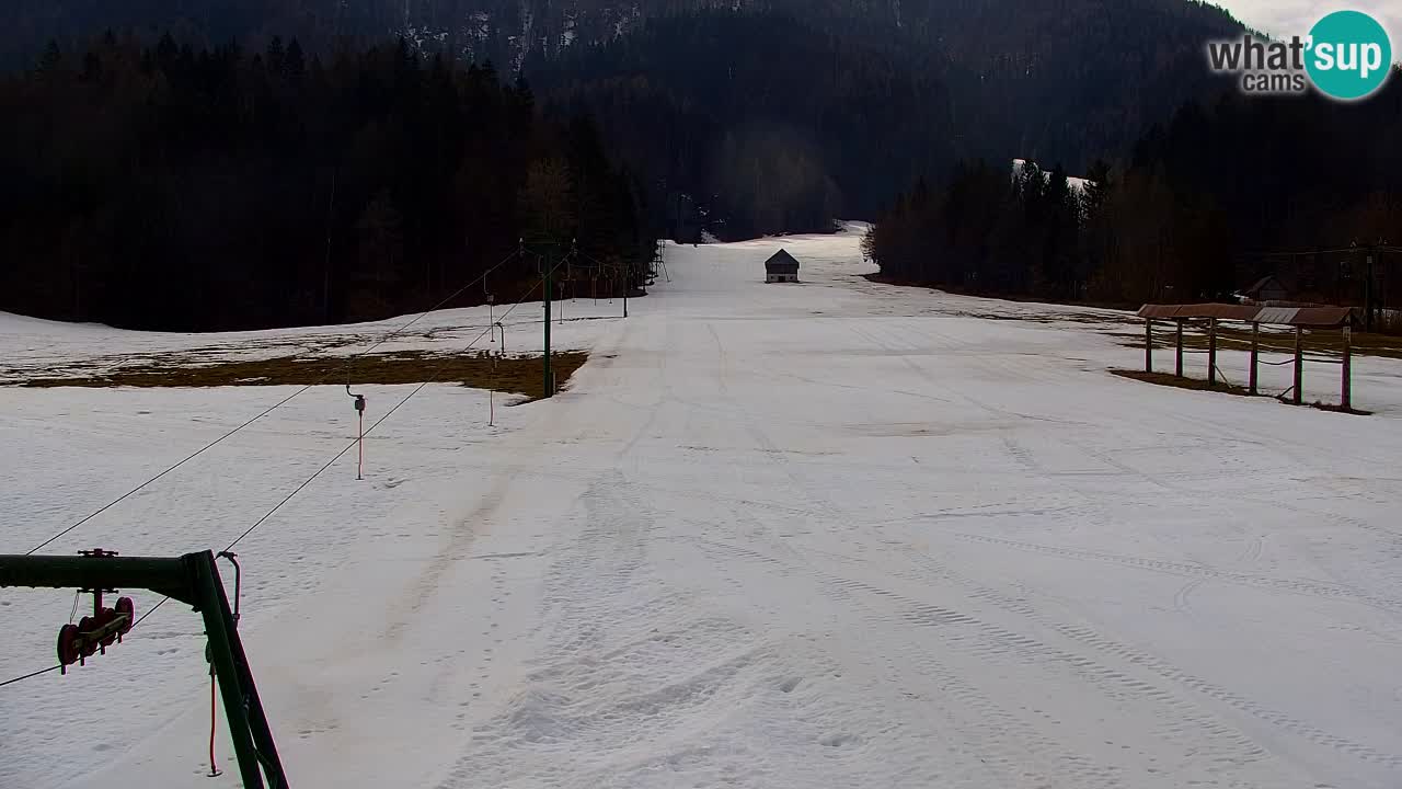 Ski Kranjska Gora | Velika Dolina