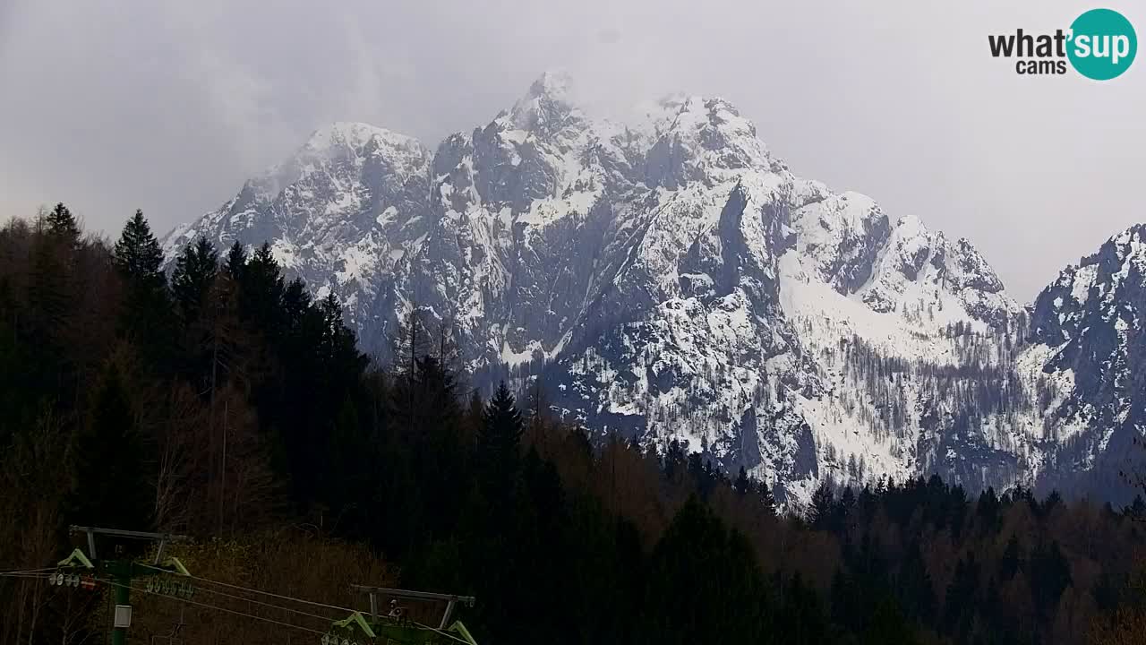 Ski Kranjska Gora | Velika Dolina