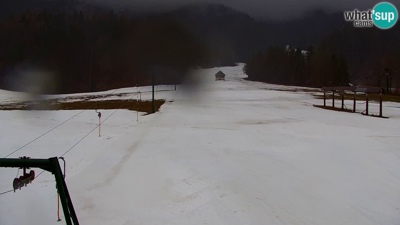 Ski Kranjska Gora | Velika Dolina