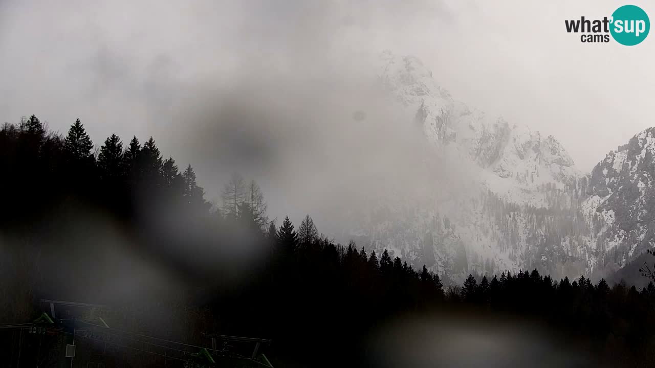Ski Kranjska Gora | Velika Dolina