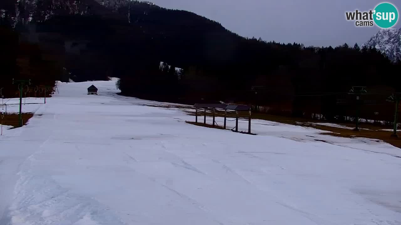 Skigebiet Kranjska Gora | Velika Dolina