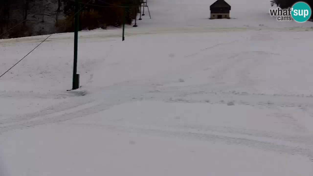 Kranjska Gora | Velika Dolina