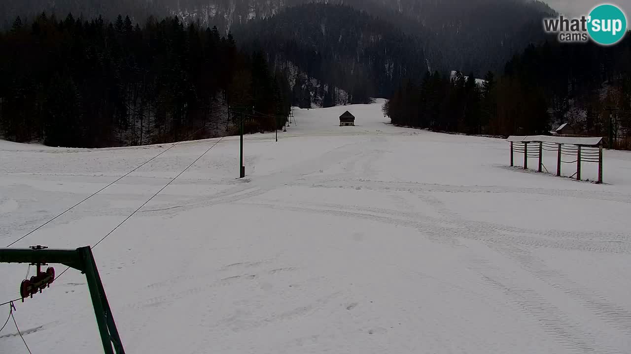 Ski Kranjska Gora | Velika Dolina