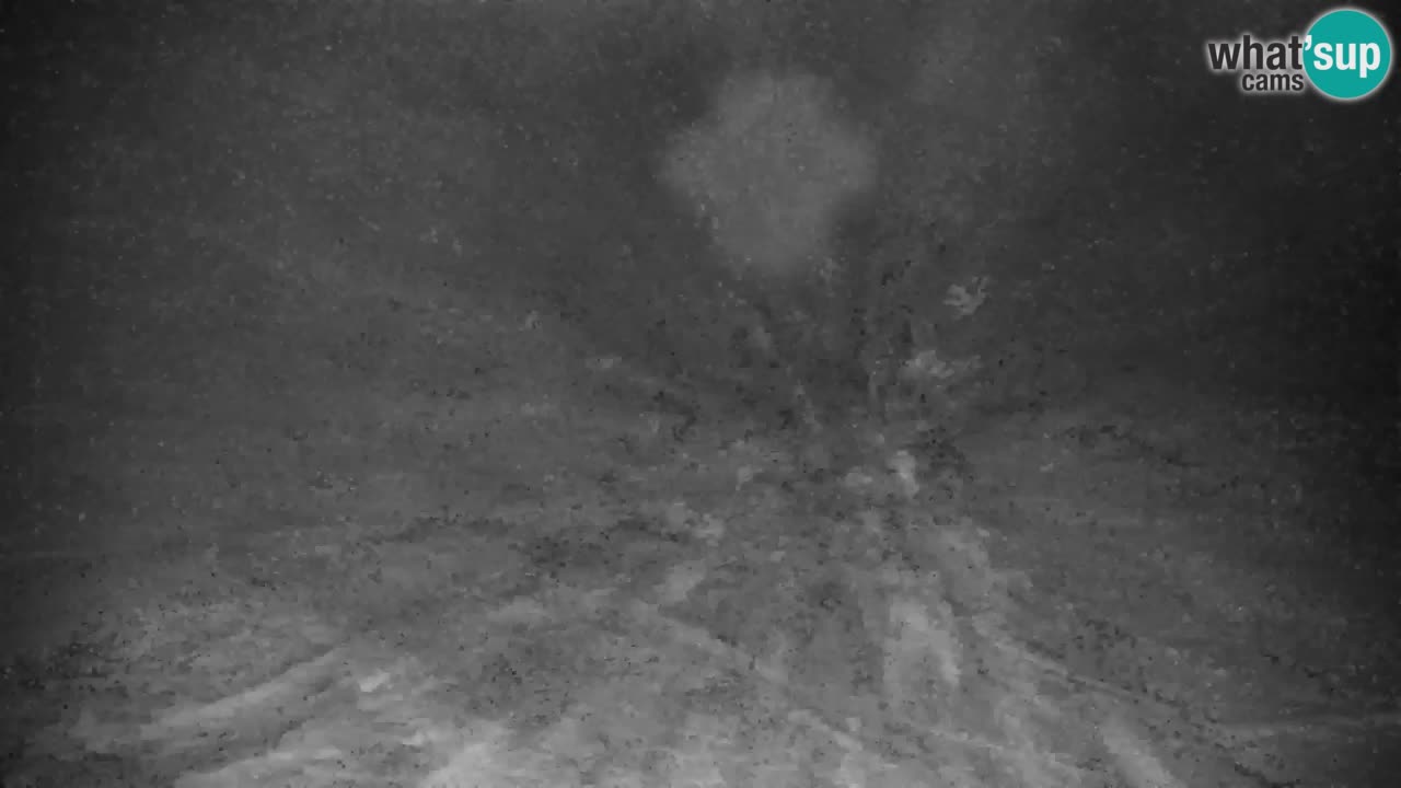 Ski Kranjska Gora | Velika Dolina