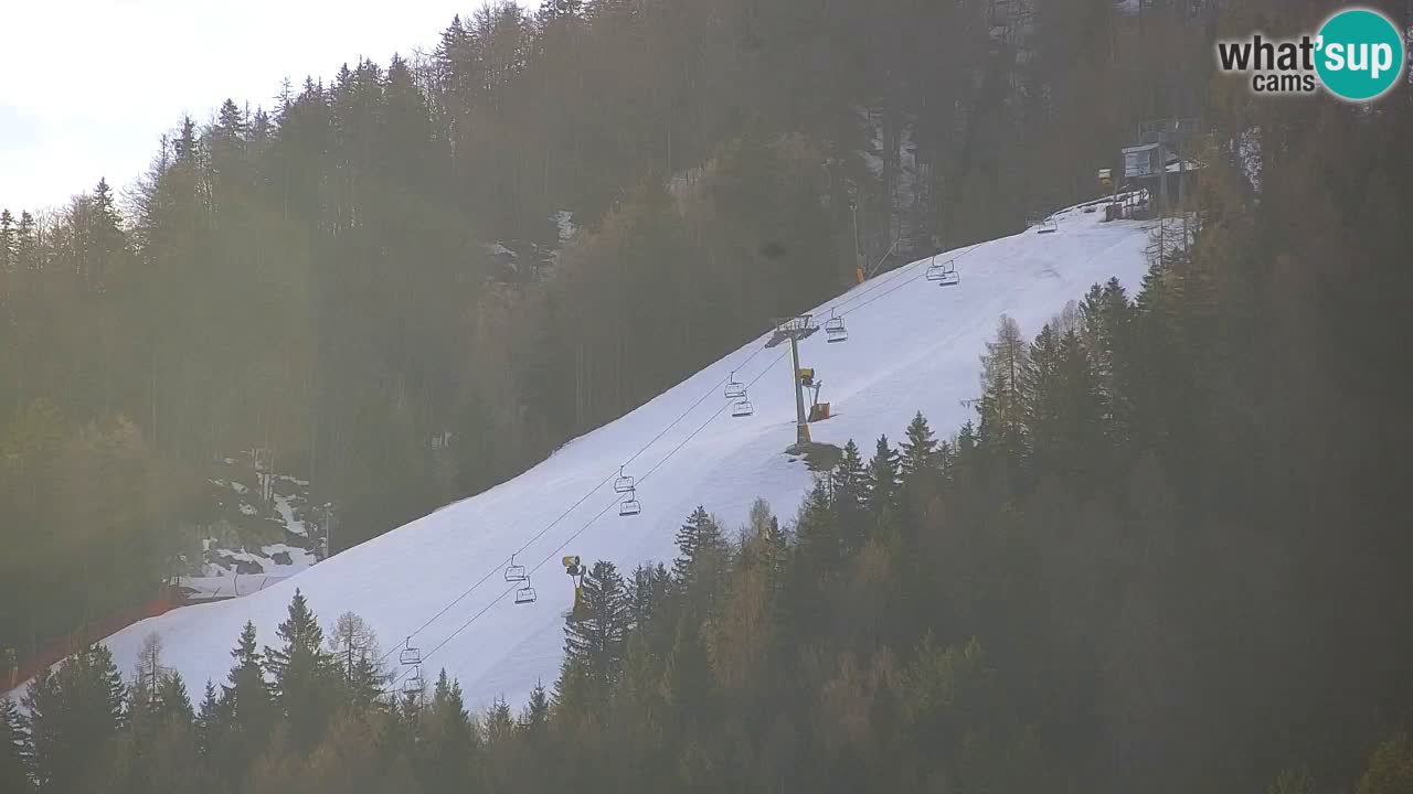 Skijanje Kranjska Gora | Velika Dolina