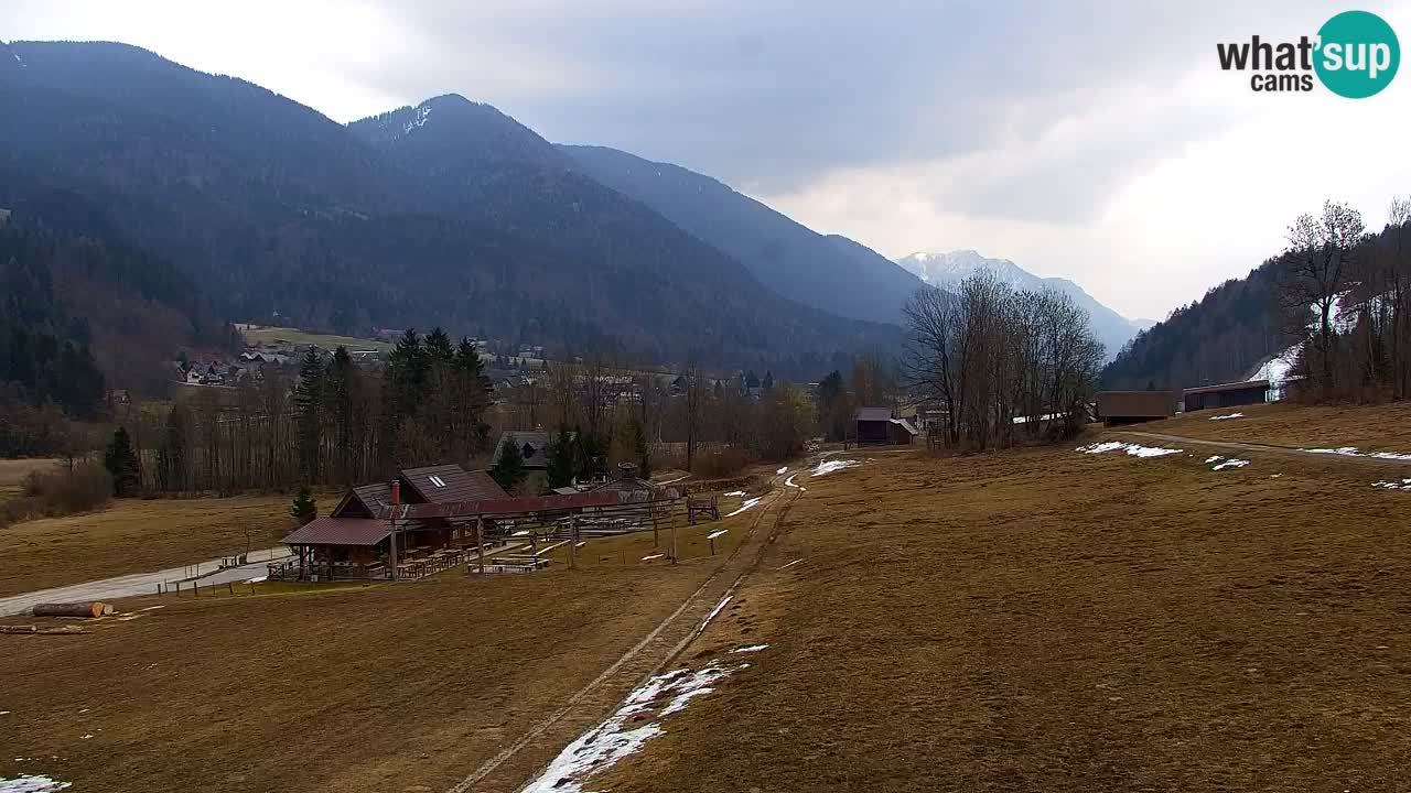 Ski Kranjska Gora | Velika Dolina