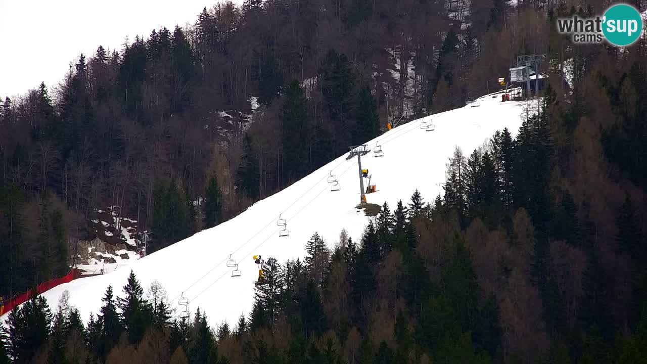 Ski Kranjska Gora | Velika Dolina