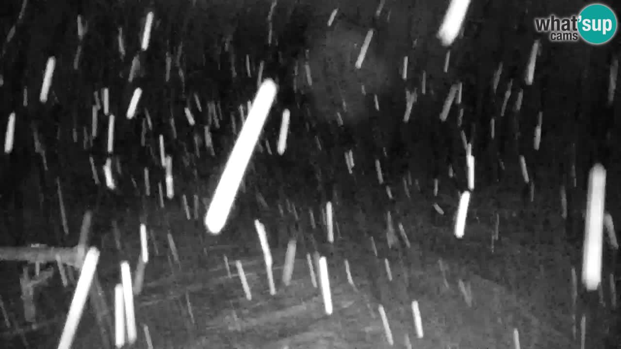 Ski Kranjska Gora | Velika Dolina