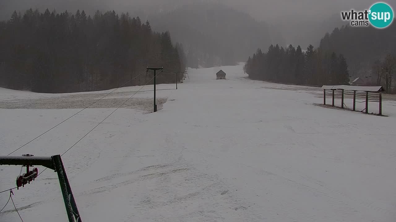 Skigebiet Kranjska Gora | Velika Dolina