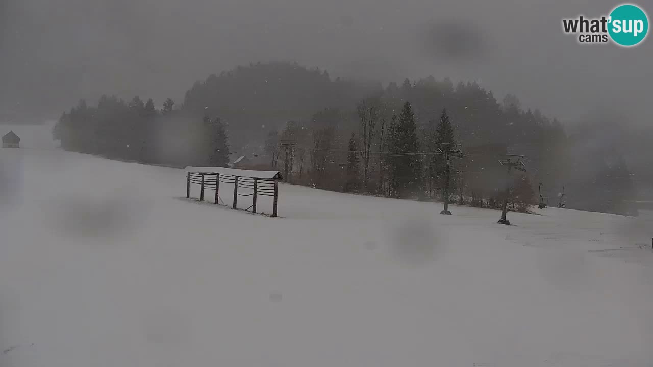Kranjska Gora | Velika Dolina