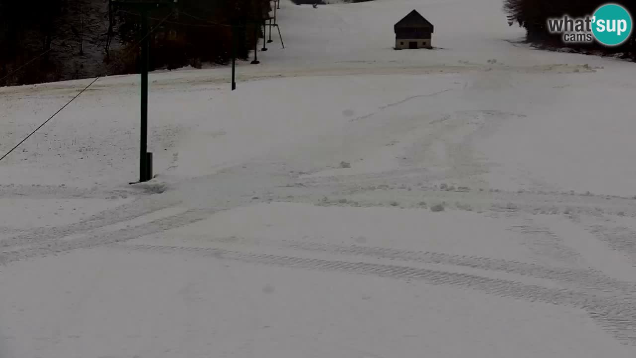 Skigebiet Kranjska Gora | Velika Dolina