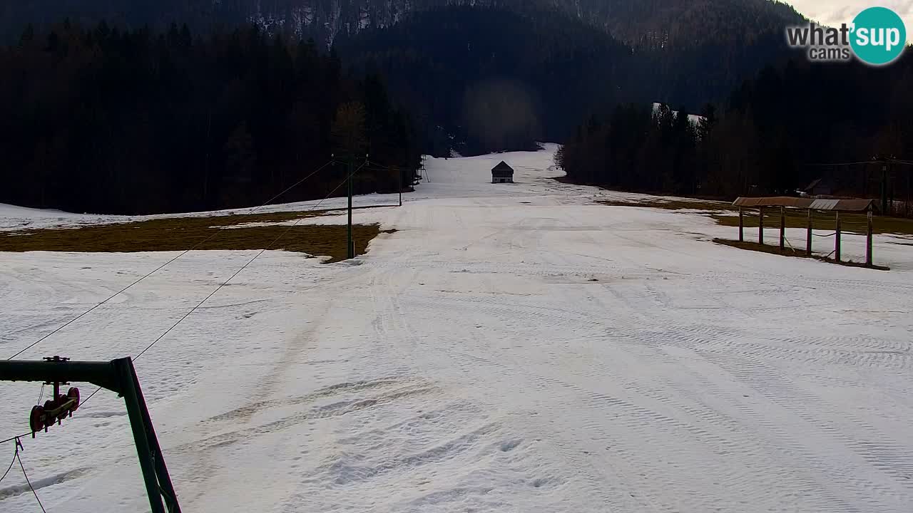 Ski Kranjska Gora | Velika Dolina