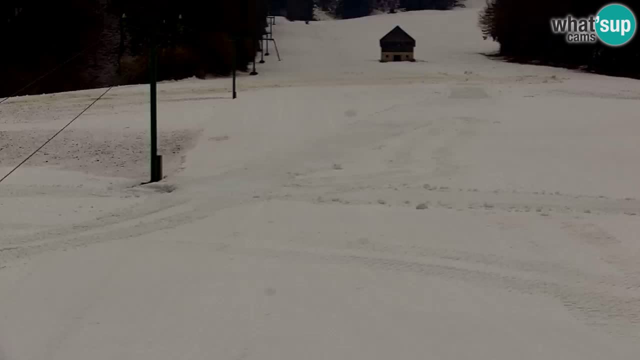 Ski Kranjska Gora | Velika Dolina