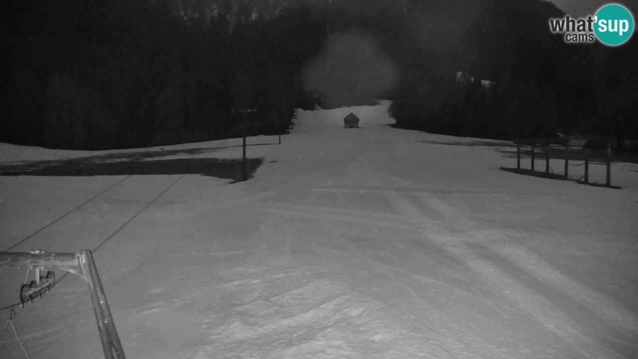 Ski Kranjska Gora | Velika Dolina