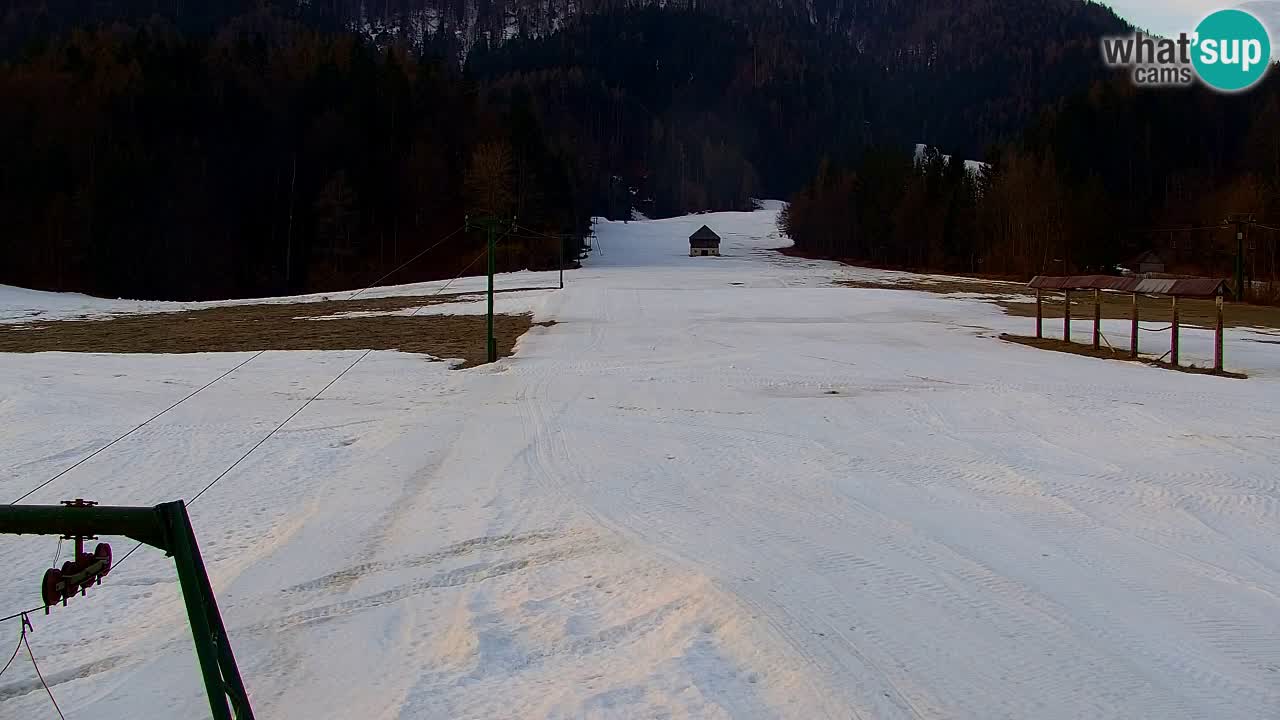 Skigebiet Kranjska Gora | Velika Dolina