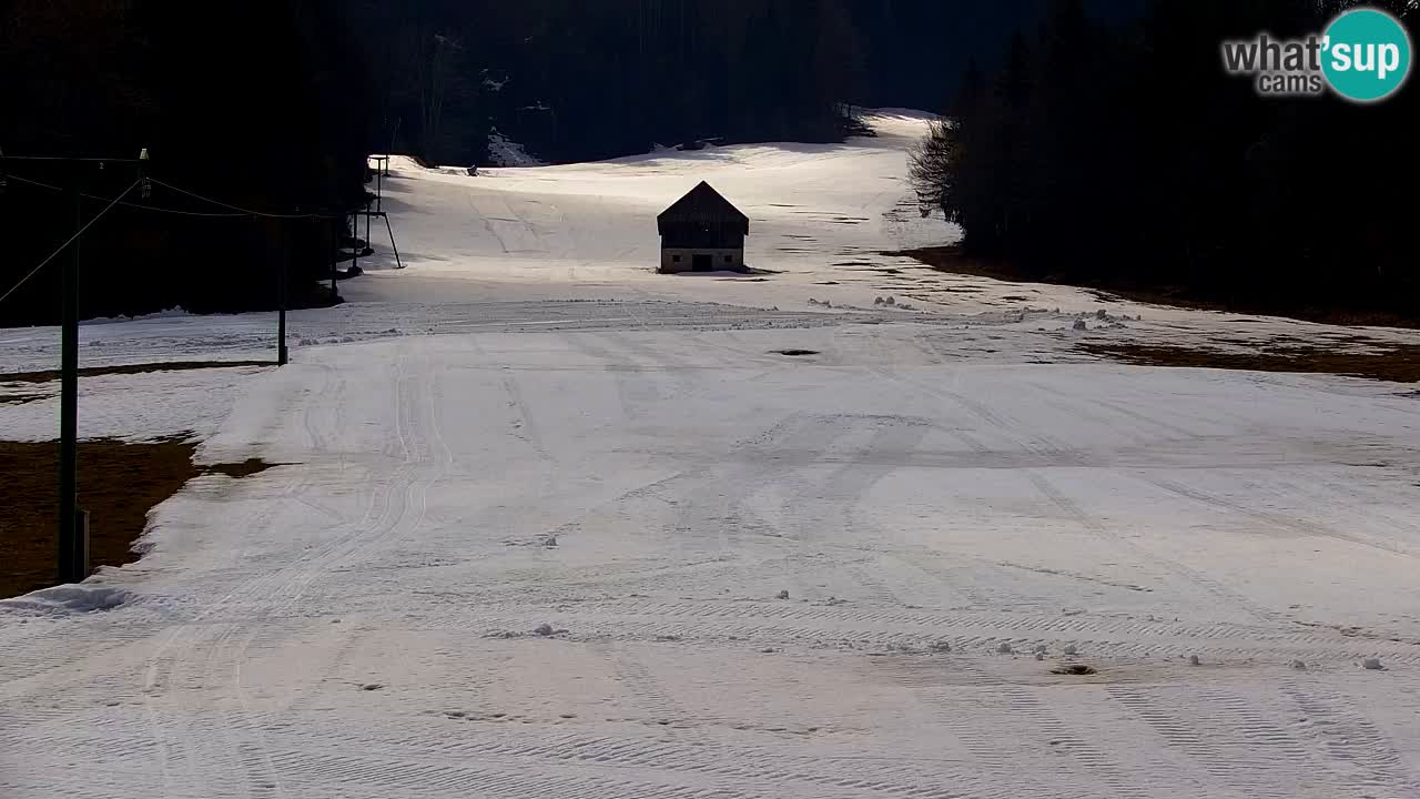 Ski Kranjska Gora | Velika Dolina