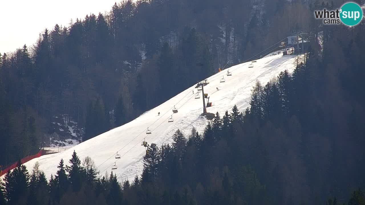 Skigebiet Kranjska Gora | Velika Dolina