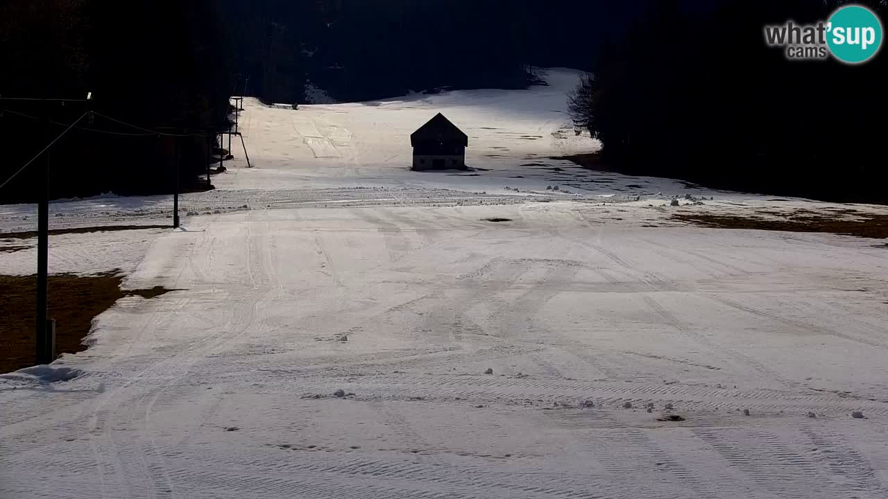Ski Kranjska Gora | Velika Dolina