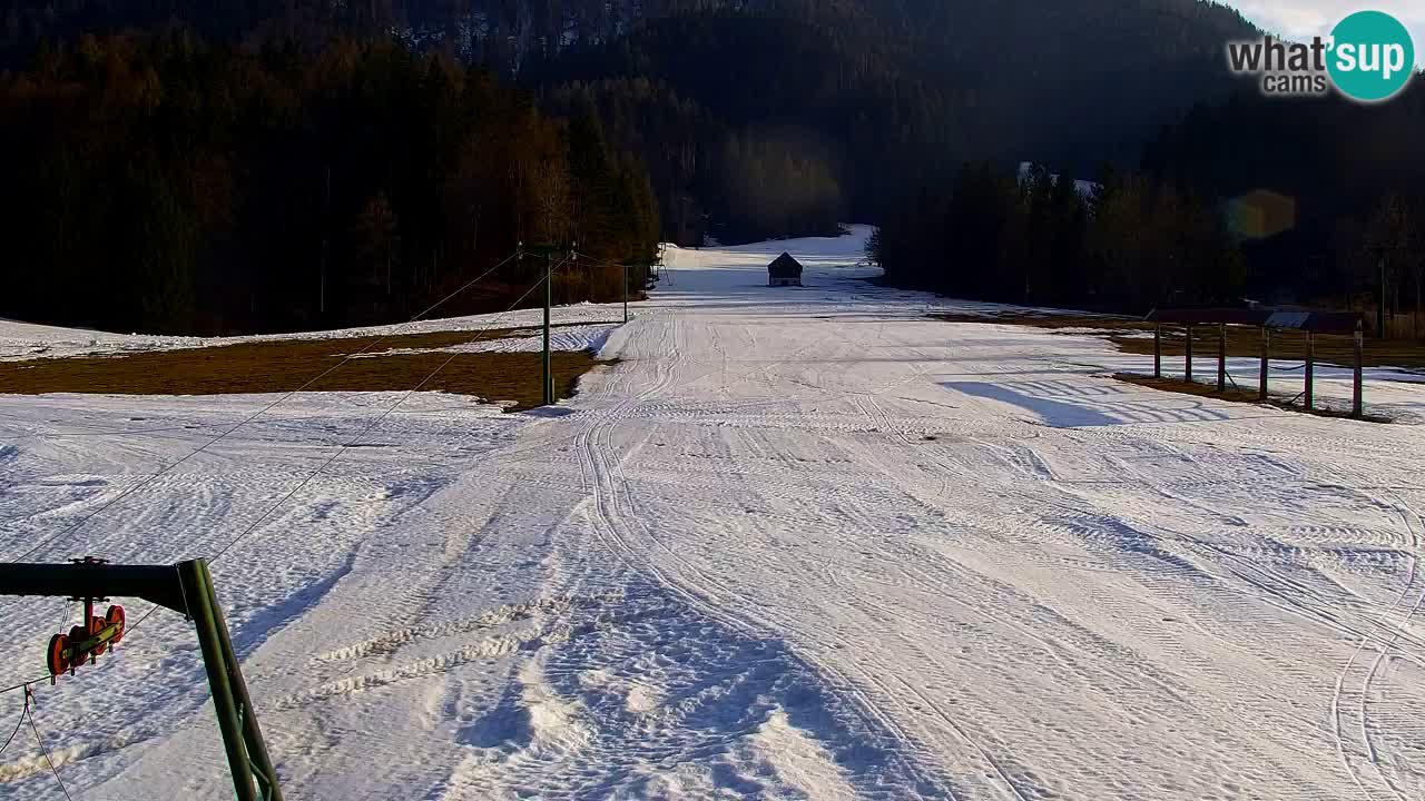 Ski Kranjska Gora | Velika Dolina