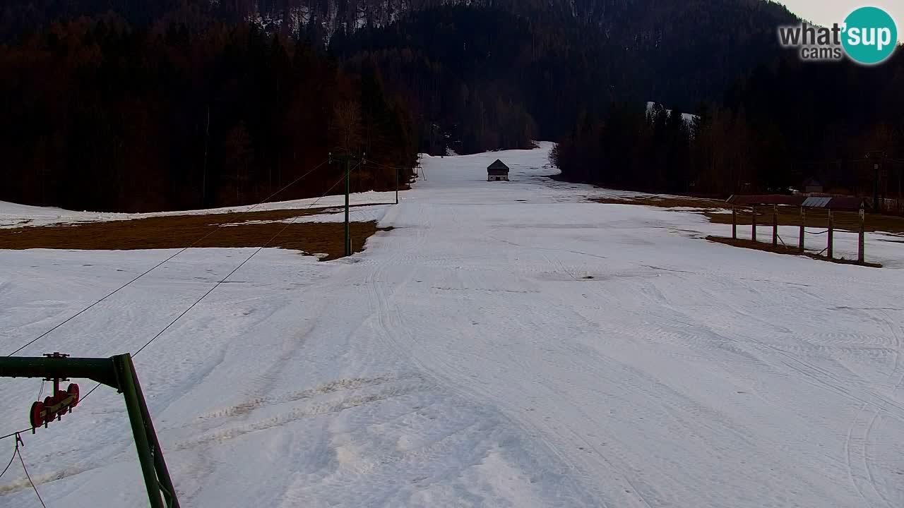 Ski Kranjska Gora | Velika Dolina