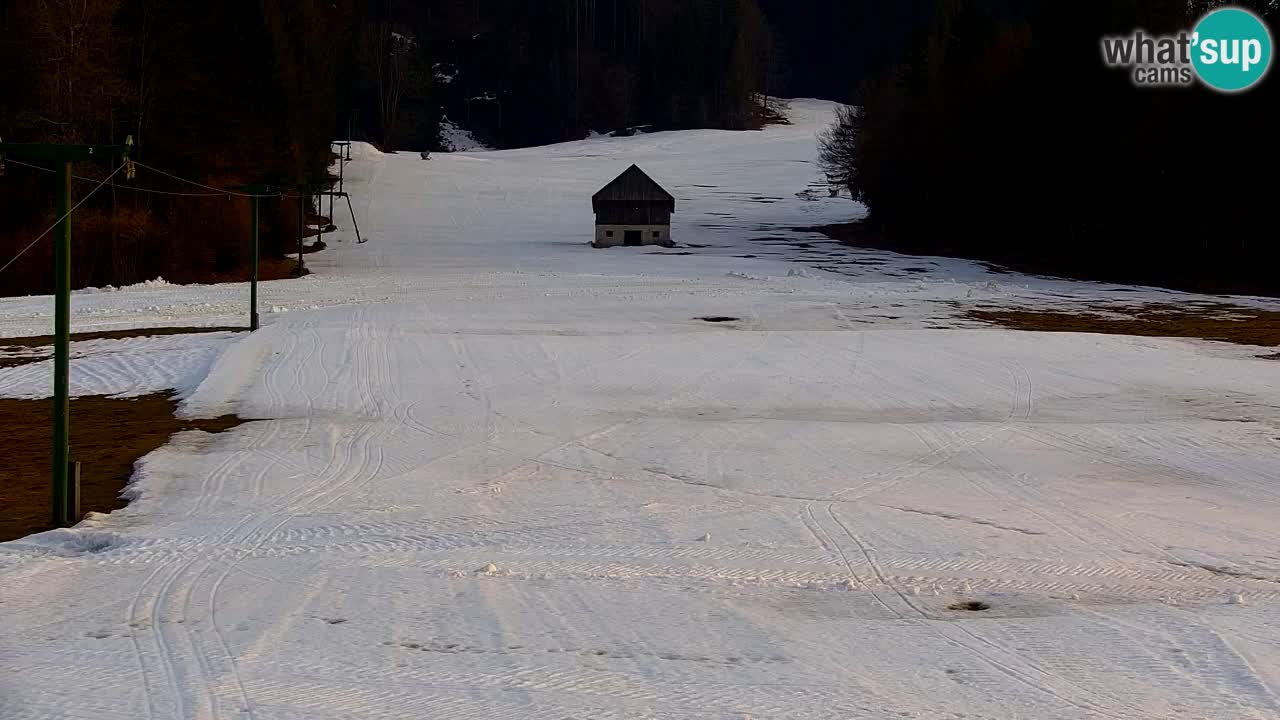 Skigebiet Kranjska Gora | Velika Dolina
