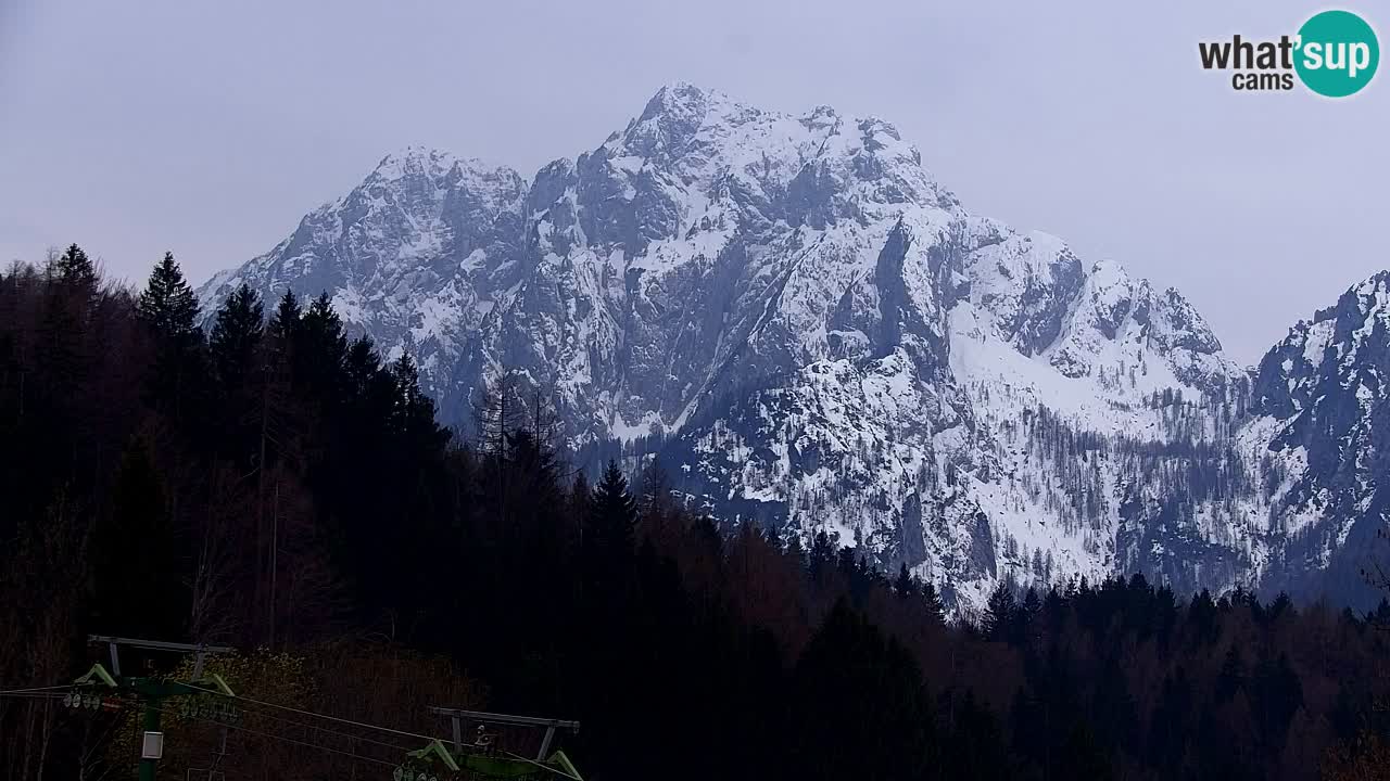 Skigebiet Kranjska Gora | Velika Dolina