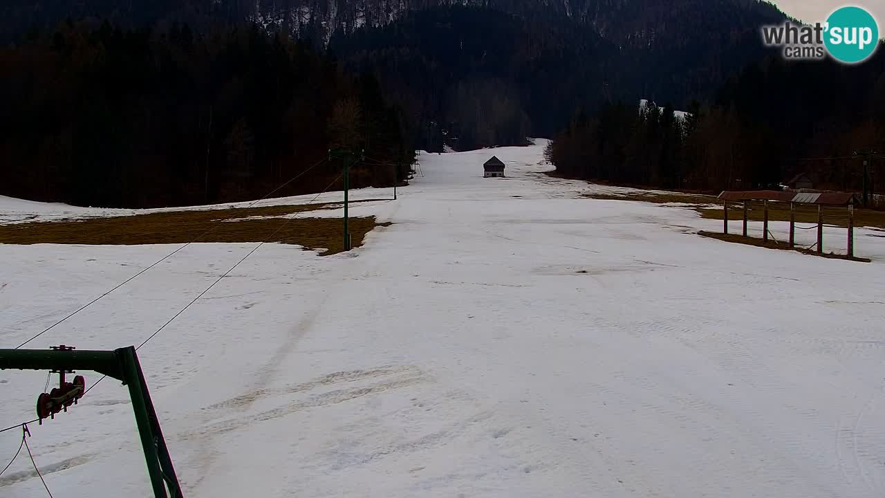 Estación de esquí Kranjska Gora | Velika Dolina