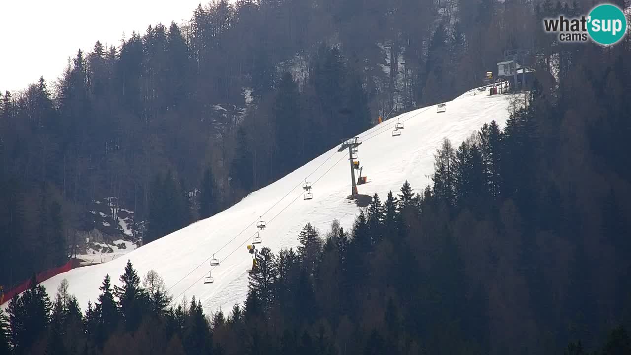 Station de ski Kranjska Gora | Velika Dolina