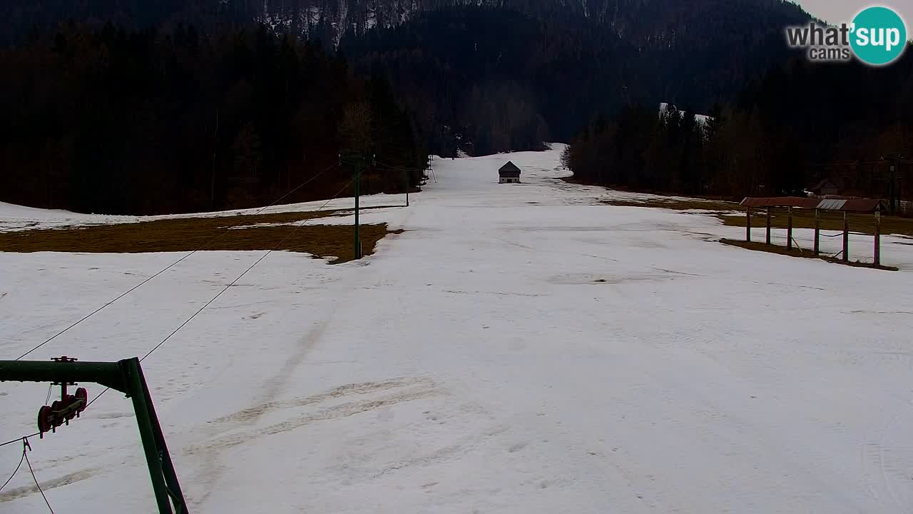 Skigebiet Kranjska Gora | Velika Dolina