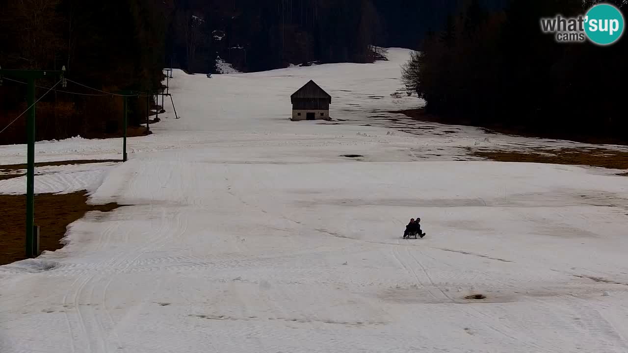 RTC Kranjska Gora | Velika Dolina