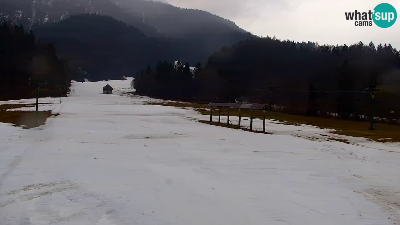 Ski Kranjska Gora | Velika Dolina