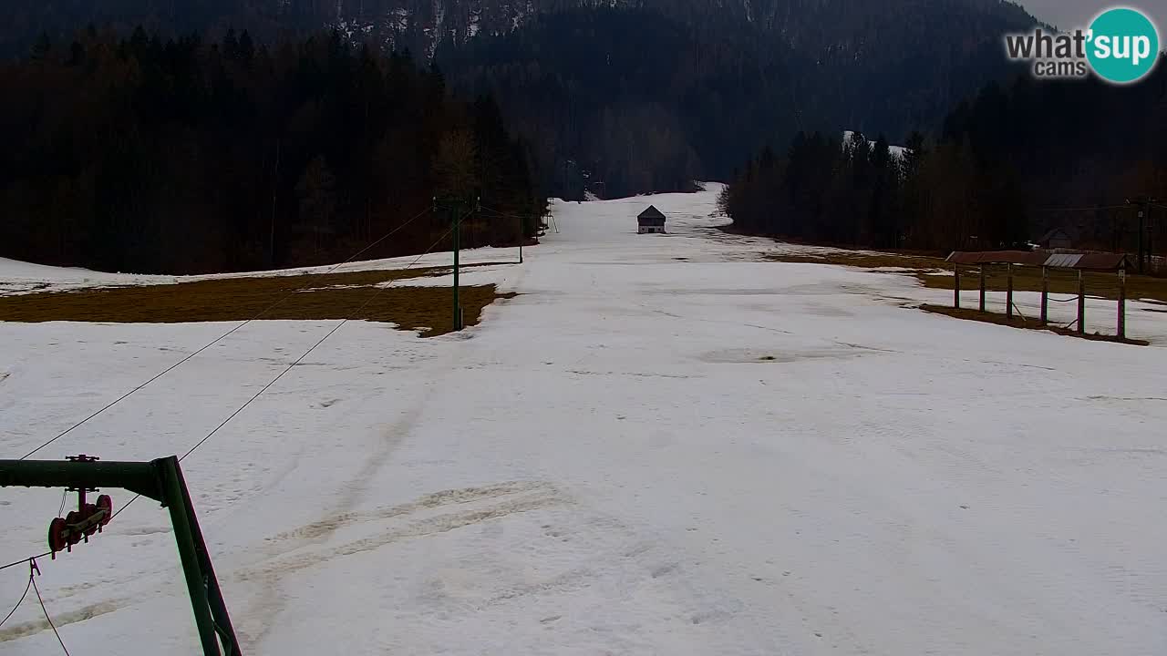 Skijanje Kranjska Gora | Velika Dolina