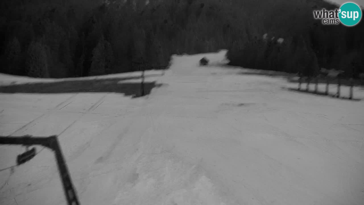 Skigebiet Kranjska Gora | Velika Dolina