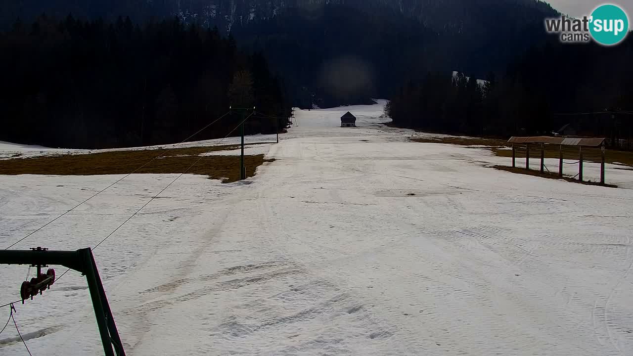 Ski Kranjska Gora | Velika Dolina
