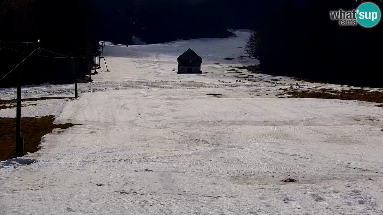 Ski Kranjska Gora | Velika Dolina