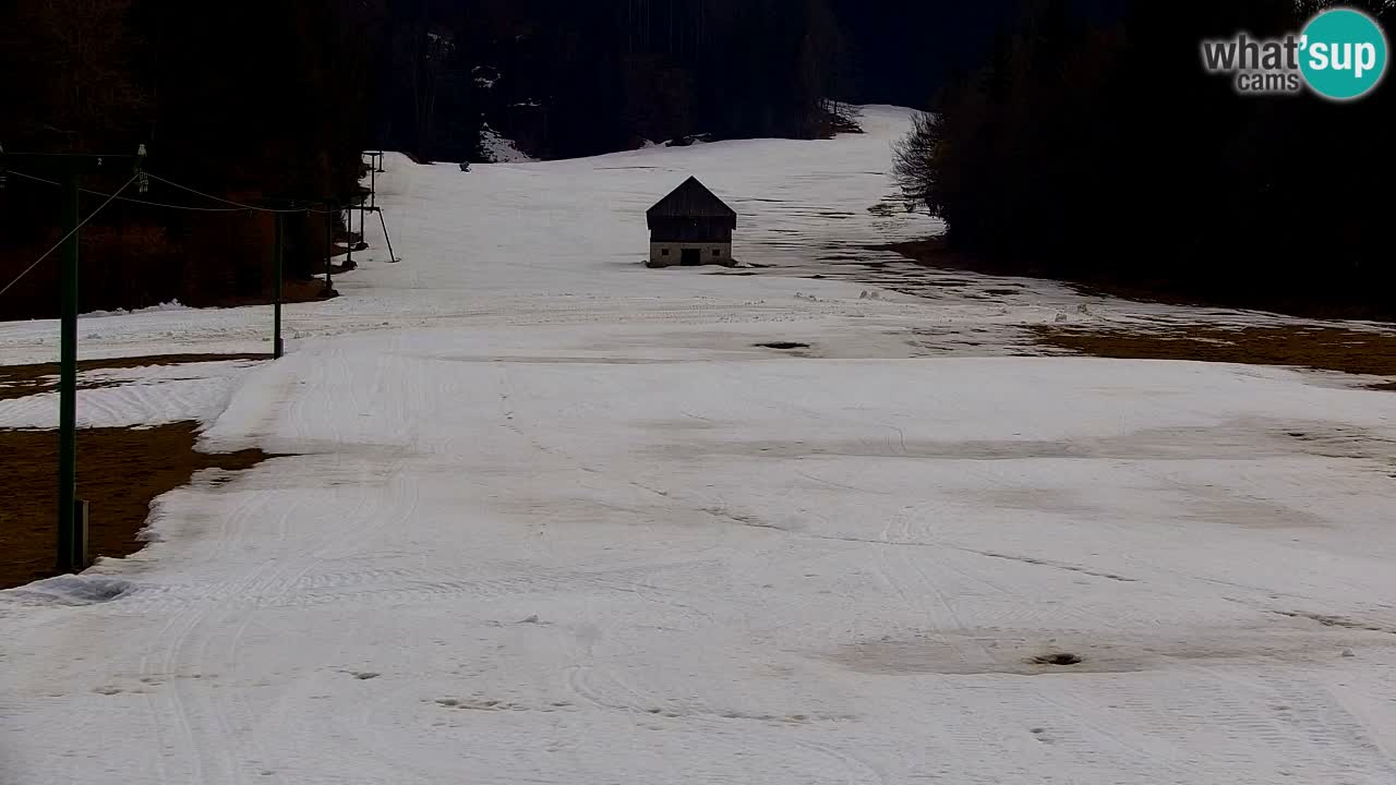 Ski Kranjska Gora | Velika Dolina