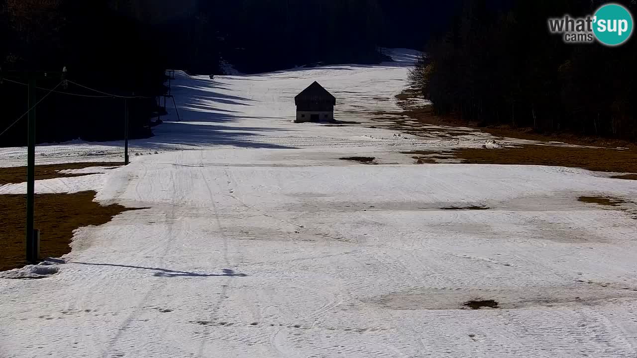 Ski Kranjska Gora | Velika Dolina