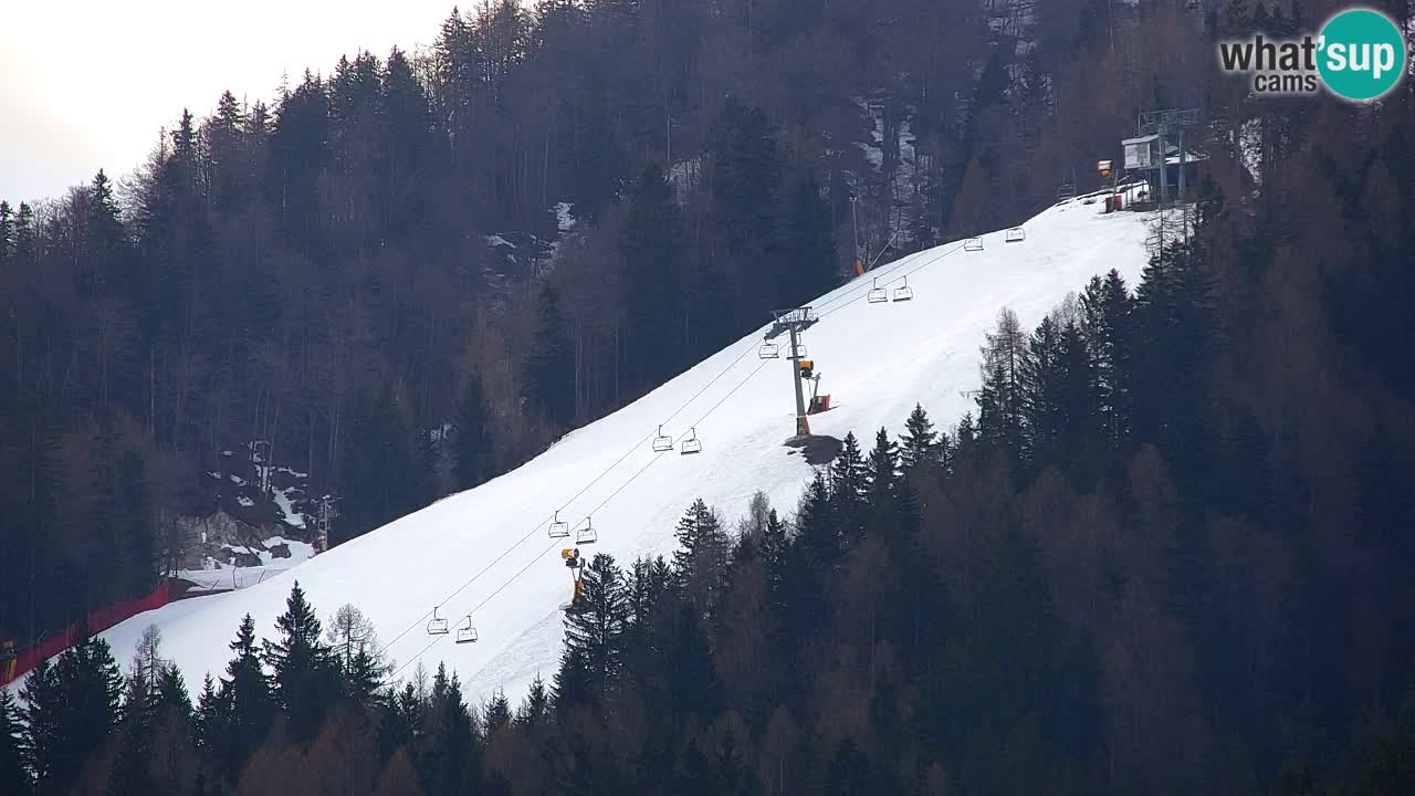 Skigebiet Kranjska Gora | Velika Dolina