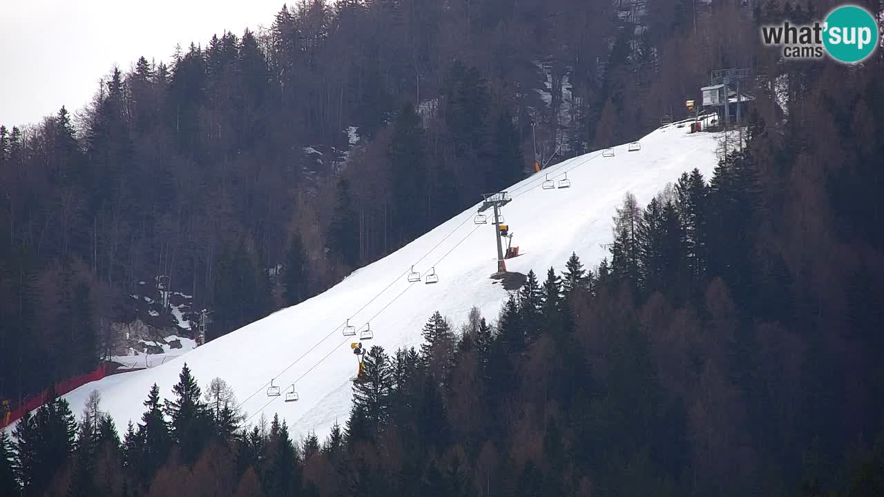 RTC Kranjska Gora | Velika Dolina