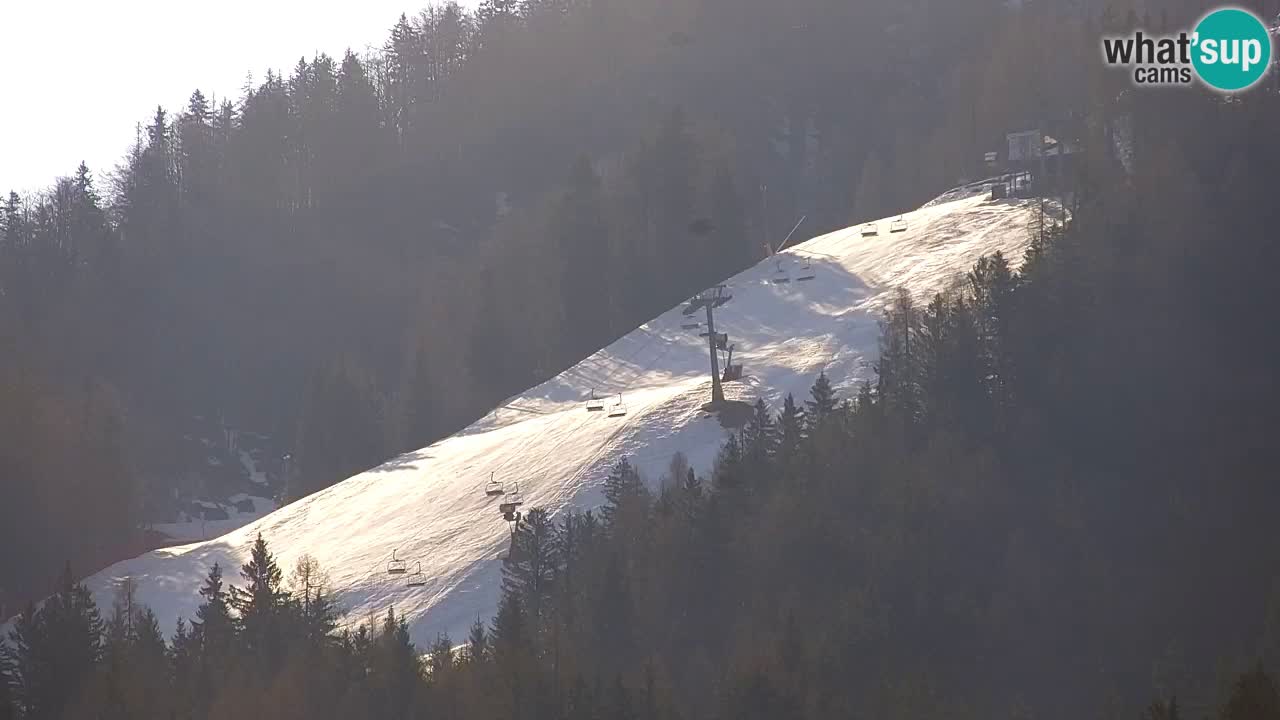 Ski Kranjska Gora | Velika Dolina