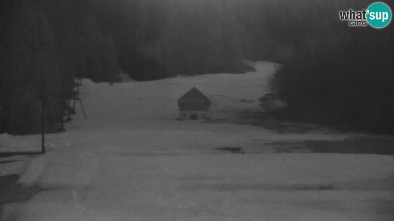 Estación de esquí Kranjska Gora | Velika Dolina