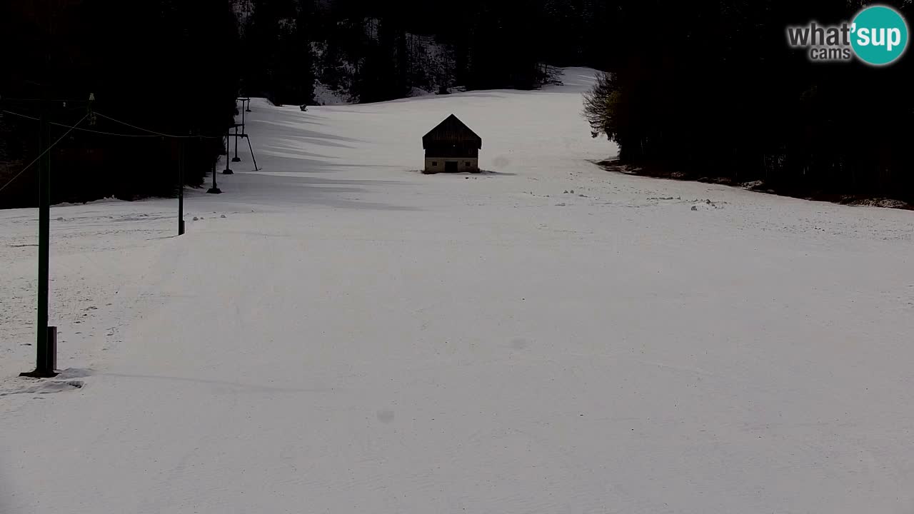 Skigebiet Kranjska Gora | Velika Dolina