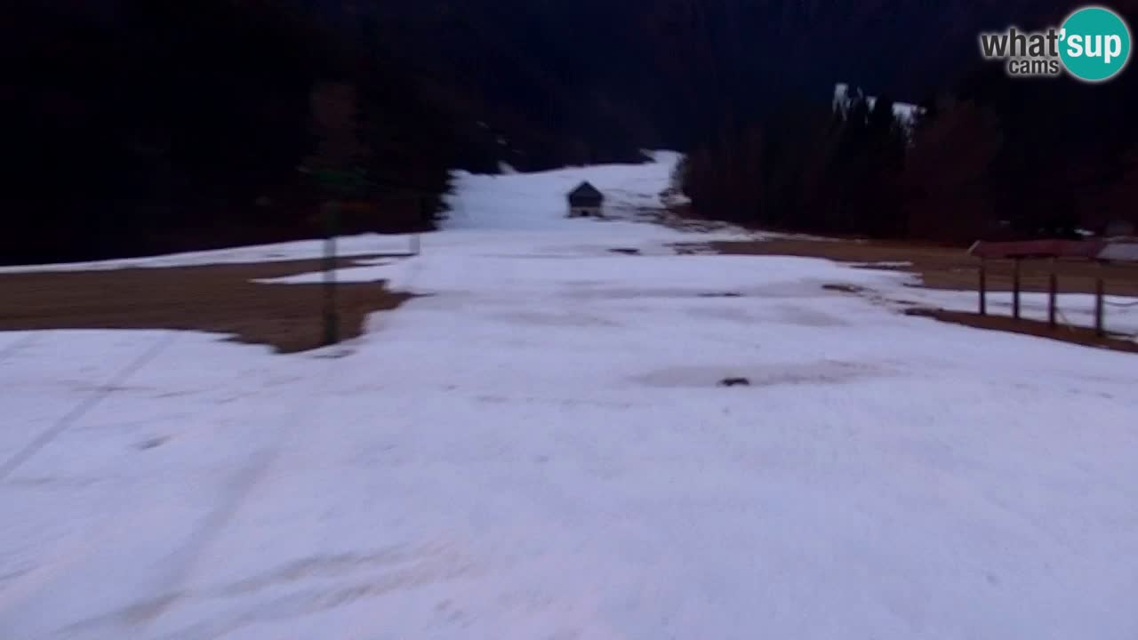 Estación de esquí Kranjska Gora | Velika Dolina