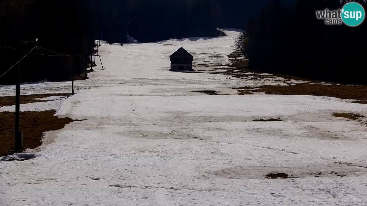 Ski Kranjska Gora | Velika Dolina