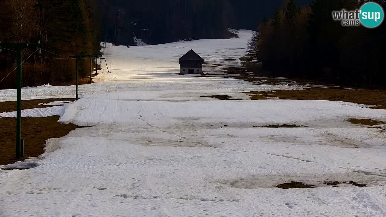 Skigebiet Kranjska Gora | Velika Dolina