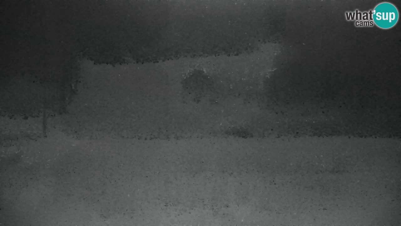 Ski Kranjska Gora | Velika Dolina